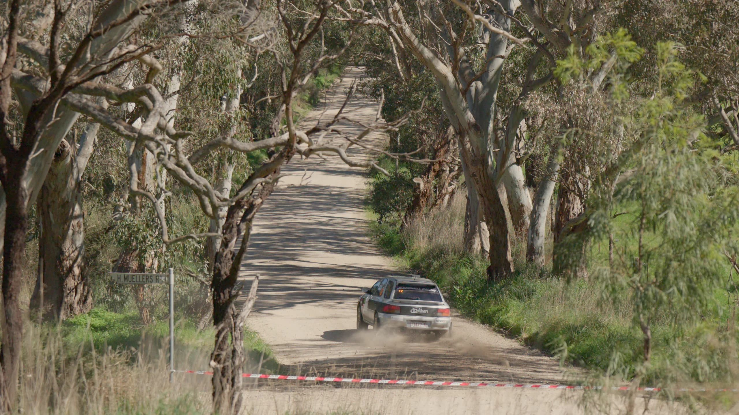 A tree-lined Barossa road on the way between stages