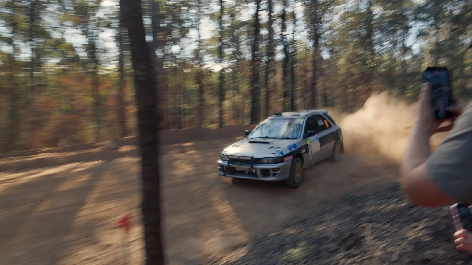 Subaru Impreza on a sunlit forest gravel stage at the Narooma Forest Rally