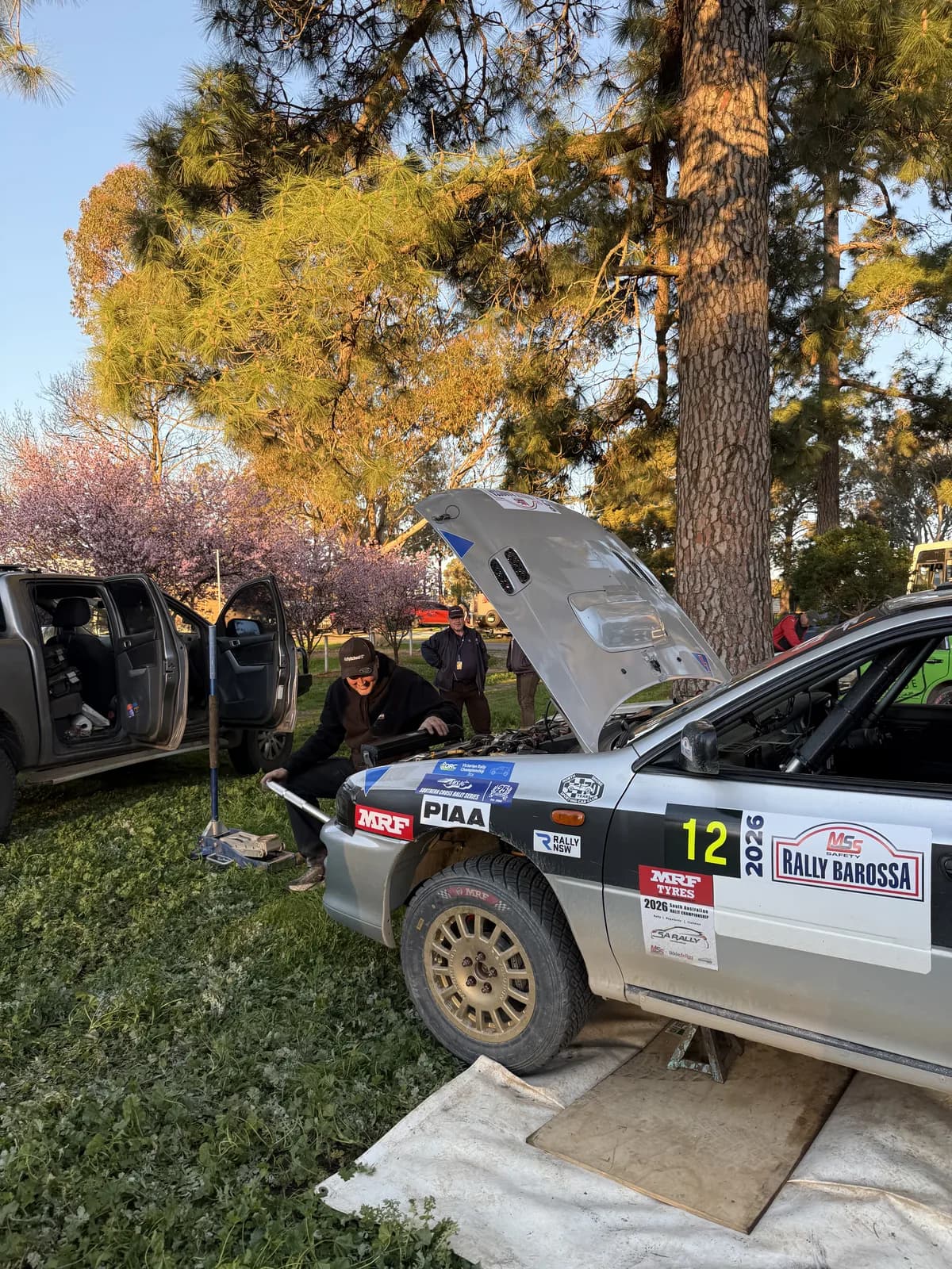 Bonnet up on the Shakewell Racing Impreza wagon at golden hour under the pines, servicing at the MSS Safety Rally Barossa 2026